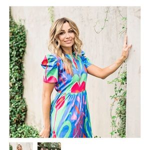 NWT Sheridan French Clementine dress L